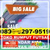 Pusat Rumput Sintetis Futsal Bintan Pesisir.jpg