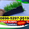 Jual Rumput Sintetis Futsal Bojongmangu.jpg