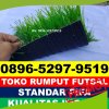 Jual Rumput Sintetis Futsal Bola.jpg