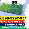 Supplier Rumput Sintetis Futsal Sukamakmur.jpg