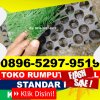 Supplier Rumput Sintetis Futsal Sukamulya.jpg