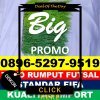 Supplier Rumput Sintetis Futsal Bissappu.jpg