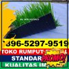 Produsen Rumput Sintetis Futsal Bolo.jpg