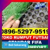 Supplier Rumput Sintetis Futsal Padang Cermin.jpg