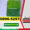 Supplier Rumput Sintetis Futsal Blubur Limbangan.jpg