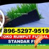 Jual Rumput Sintetis Futsal Borbor.jpg