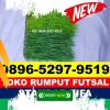 Pusat Rumput Sintetis Futsal Sumbawa.jpg