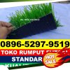 Jual Rumput Sintetis Futsal Bram Itam.jpg