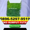 Supplier Rumput Sintetis Futsal Bojong.jpg