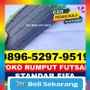 Produsen Rumput Sintetis Futsal Sumberasih.jpg