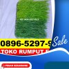 Supplier Rumput Sintetis Futsal Bojongloa Kaler.jpg