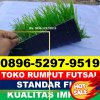 Produsen Rumput Sintetis Futsal Boyan Tanjung.jpg