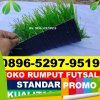 Jual Rumput Sintetis Futsal Bua.jpg