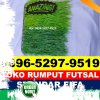 Pusat Rumput Sintetis Futsal Sumberejo.jpg