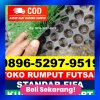 Supplier Rumput Sintetis Futsal Pagai Utara.jpg