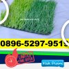 Supplier Rumput Sintetis Futsal Bojongsari.jpg