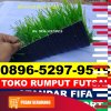 Jual Rumput Sintetis Futsal Sungai Durian.jpg