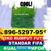 Pusat Rumput Sintetis Futsal Sumedang Selatan.jpg