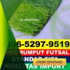 Gudang Rumput Sintetis Futsal Sungai Pandan.jpg