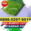 Gudang Rumput Sintetis Futsal Paleteang.jpg