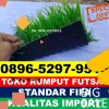 Produsen Rumput Sintetis Futsal Buay Pemuka Peliung.jpg