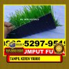 Jual Rumput Sintetis Futsal Sungai Penuh.jpg