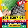 Supplier Rumput Sintetis Futsal Sumur.jpg