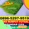 Gudang Rumput Sintetis Futsal Kayoa Utara.jpg