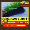 Jual Rumput Sintetis Futsal Sungai Raya Kepulauan.jpg