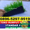 Produsen Rumput Sintetis Futsal Bugulkidul.jpg