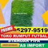 Pusat Rumput Sintetis Futsal Palakka.jpg