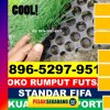 Supplier Rumput Sintetis Futsal Sungai Lala.jpg