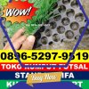 Supplier Rumput Sintetis Futsal Sungai Pagu.jpg