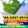 Gudang Rumput Sintetis Futsal Panga.jpg