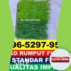 Supplier Rumput Sintetis Futsal Bubutan.jpg