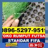 Supplier Rumput Sintetis Futsal Paminggir.jpg