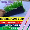 Jual Rumput Sintetis Futsal Tabunganen.jpg