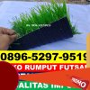 Produsen Rumput Sintetis Futsal Bunguran Selatan.jpg