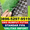 Supplier Rumput Sintetis Futsal Kayangan.jpg