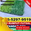 Pusat Rumput Sintetis Futsal Pancur.jpg