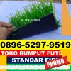 Produsen Rumput Sintetis Futsal Bungursari.jpg