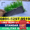 Jual Rumput Sintetis Futsal Cakung.jpg