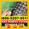 Supplier Rumput Sintetis Futsal Pancur Batu.jpg