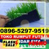 Jual Rumput Sintetis Futsal Camplong.jpg