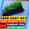 Jual Rumput Sintetis Futsal Talegong.jpg