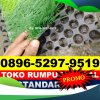 Supplier Rumput Sintetis Futsal Kebumen.jpg