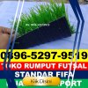 Jual Rumput Sintetis Futsal Taliabu Timur Selatan.jpg