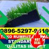 Jual Rumput Sintetis Futsal Cangkringan.jpg