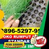 Supplier Rumput Sintetis Futsal Tabona.jpg