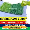 Supplier Rumput Sintetis Futsal Pangaribuan.jpg